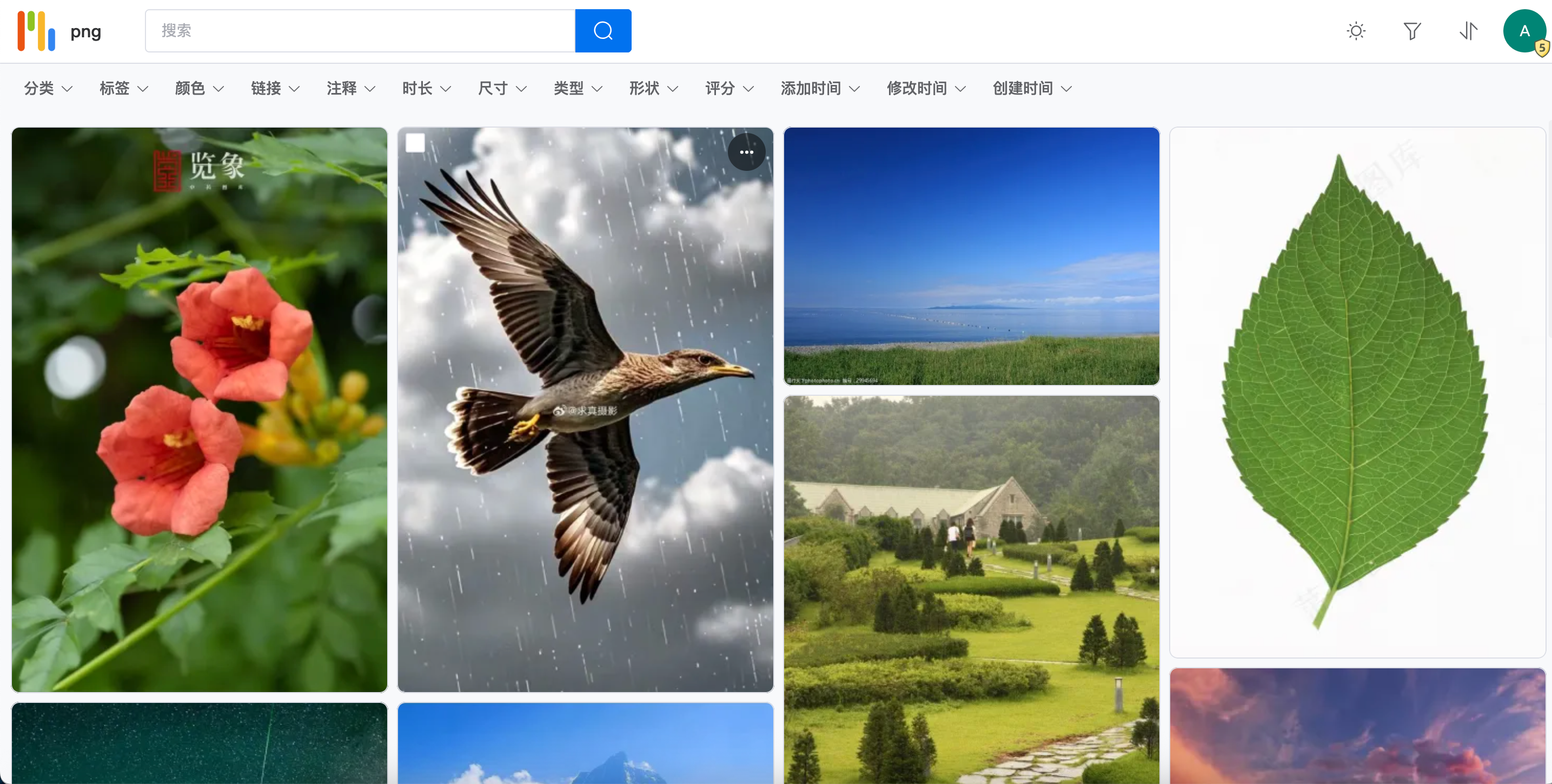 image-1759206330227.png